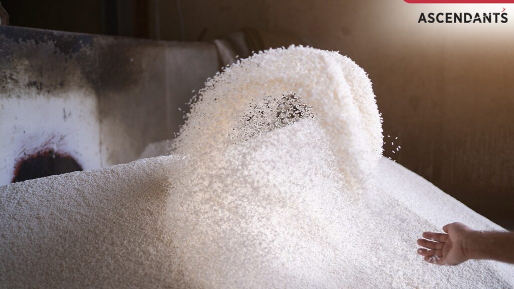 India's sugar consumption to drop to 28 million tonnes in 2024-25: ISMA