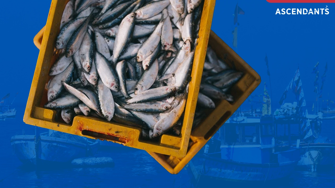 India is the world's second-largest fish producer, contributing about 8% to global output.