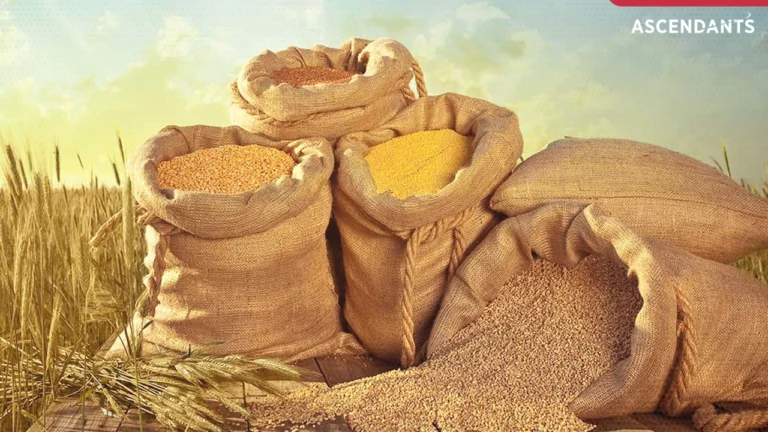 India Achieves Record Foodgrain Production in 2024-25