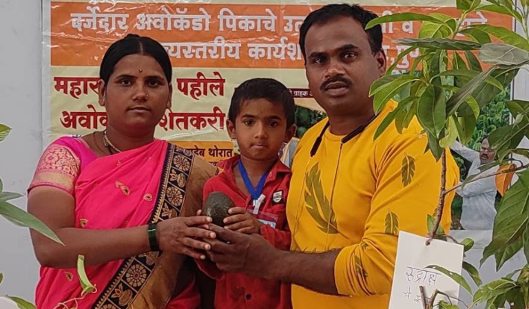 Parmeshwar Thorat, Maharashtra Farmer, Avocado Farming, Beed Agriculture, Profitable Farming, Success Story