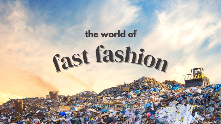 fast fashion, Zudio, Westside, Indian fashion brands, Tata fashion, sustainable fashion, affordable fashion India, fashion quality issues, synthetic fabrics, Zudio review, Westside review, fashion sustainability, ethical fashion India, fashion pollution, trend-focused clothing, fast fashion impact