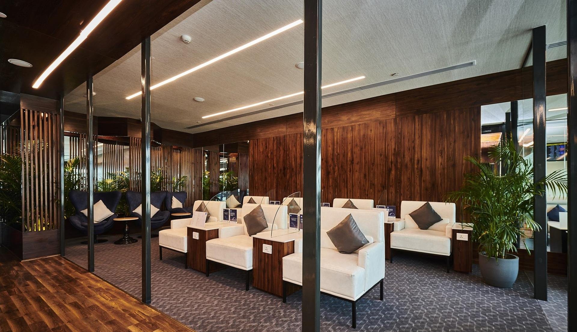 Credit Cards, Airport Lounge Access, HDFC Regalia Gold, SBI Elite Card, Axis Magnus, Travel Benefits, Personal Finance India, Amex Platinum, Luxury Travel Cards