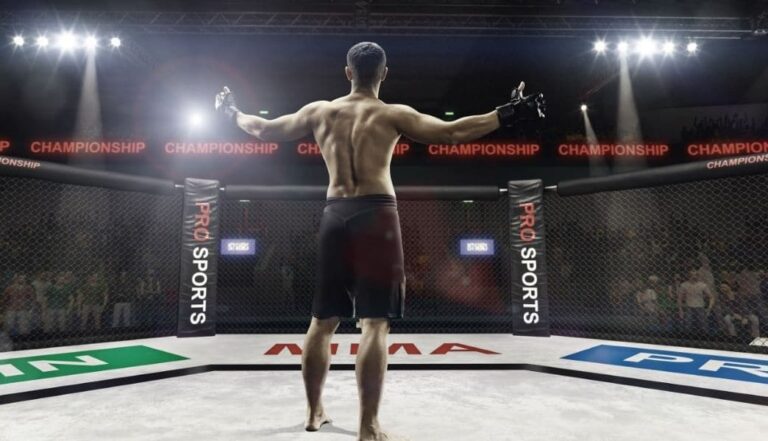 MMA boom in India