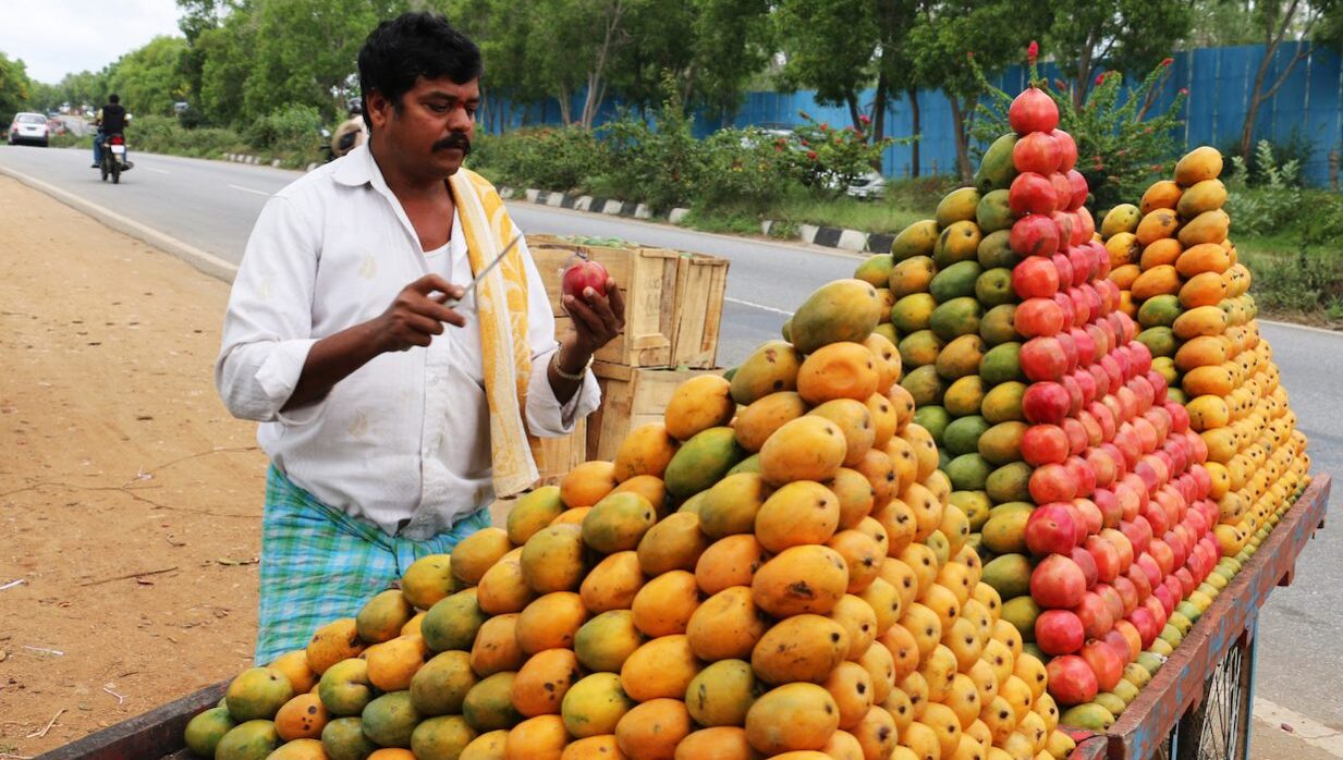 Mango Market, Indian Agriculture, Mango Varieties, Mango Export, Mango Production 2025, Alphonso Mango, APEDA India, Indian Horticulture, Fruit Economy, Indian Mango Market