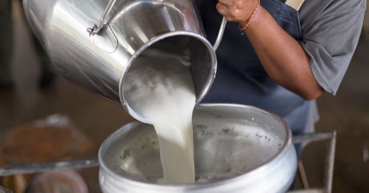 How a Small Dairy Farm is Making Big Strides in Goa’s Market 5 Adishri dairy