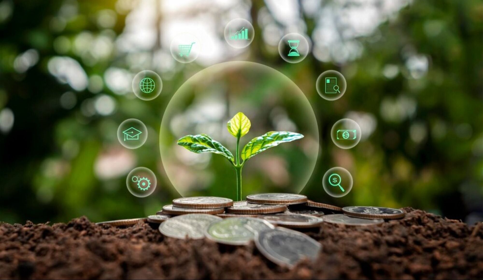 Green, Eco, India, MSME, Small Business