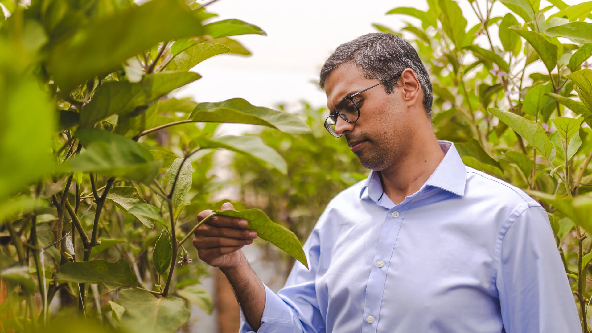 Kheyti, Indian agritech, small farmers, Greenhouse-in-a-Box, sustainable farming, farmer income, climate-resilient farming, agricultural innovation, agri-tech startup, farming solutions India, Earthshot Prize winner, greenhouse farming India, startup success story