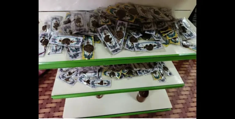 cow dung rakhis, eco friendly rakhi Hubballi, biodegradable rakhis, Organic Aramane rakhis, plantable seed rakhis, sustainable Raksha Bandhan, cow dung rakhi sales, Hubballi eco rakhis