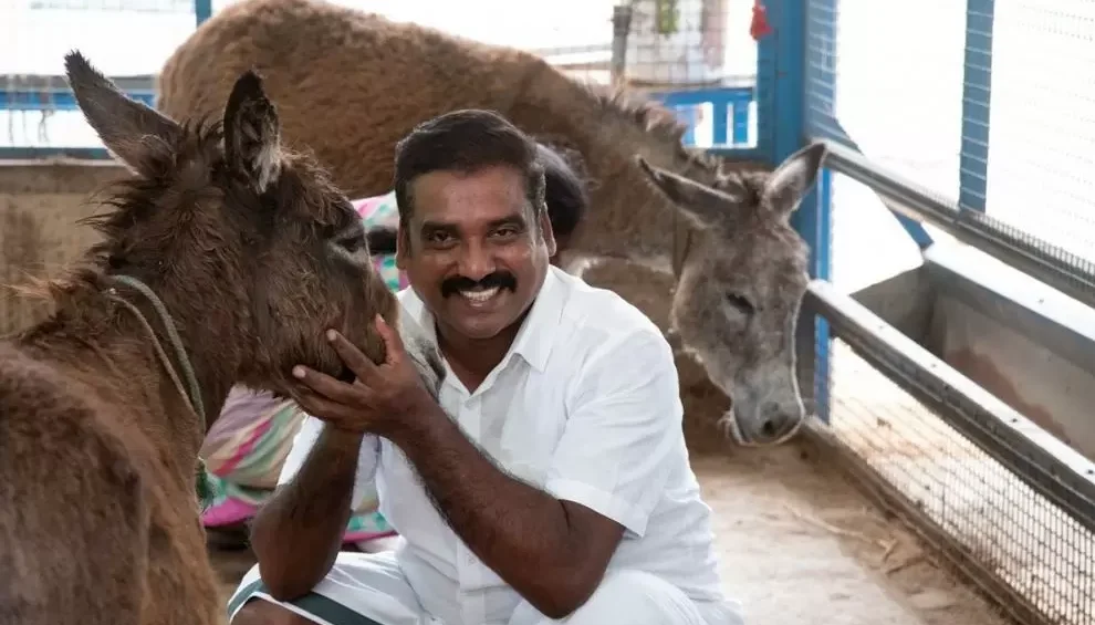 donkey milk, donkey milk products, donkey milk soap, donkey milk benefits, donkey milk capsules, donkey farming in India, donkey farming business, Aindhinai Farmers Producer Company, Raju Joseph donkey milk, donkey assisted therapy, natural skincare India, herbal wellness products, sustainable farming Tamil Nadu, unique small business ideas India, Musiri Tamil Nadu entrepreneurs