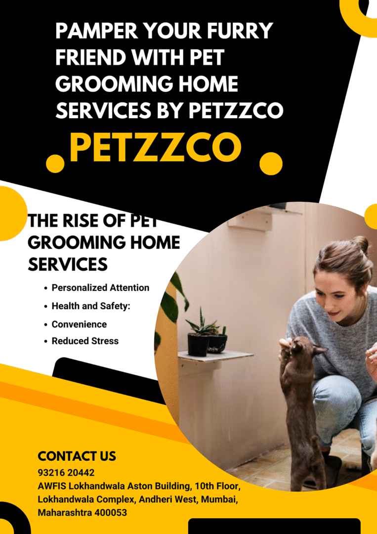 Pet Care Startup, Raj Kantak, Petzzco, Stray Free India, Pet Adoption India, Pet Tech India, Pet Services, Startup Story, Animal Welfare, Indian Entrepreneurs