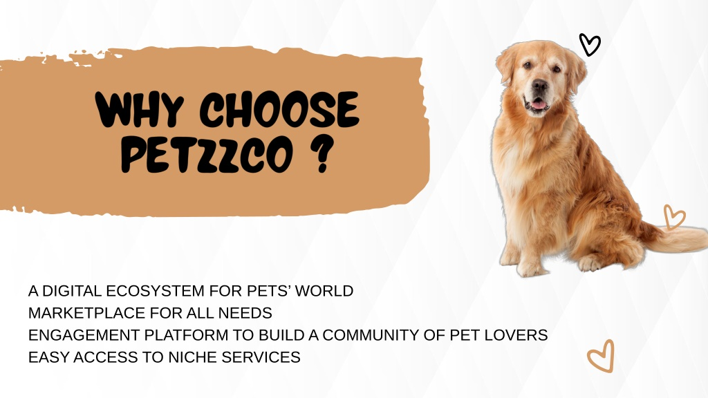 Pet Care Startup, Raj Kantak, Petzzco, Stray Free India, Pet Adoption India, Pet Tech India, Pet Services, Startup Story, Animal Welfare, Indian Entrepreneurs