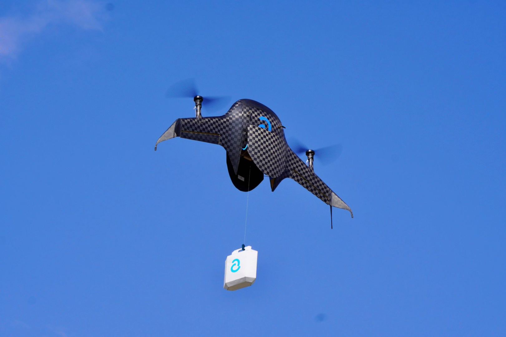 Tesla and SpaceX Leaders Bet on Indian Startup to Rethink Drone Deliveries image 20