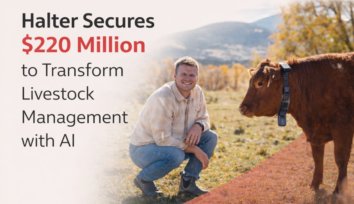 Halter, AI in agriculture, agtech startup, Founders Fund, Peter Thiel, livestock technology, virtual fencing, cattle management, farming innovation, startup funding, Series E funding, precision agriculture, global startups