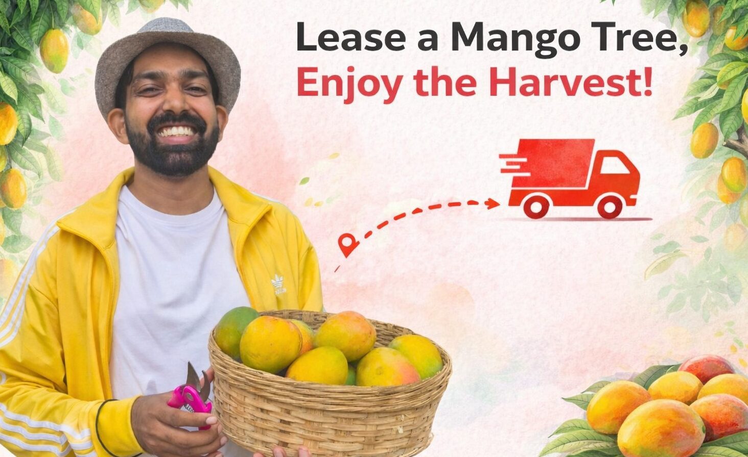 Tree Leasing Rent A Tree Lets You Lease Mango Trees In India Easily