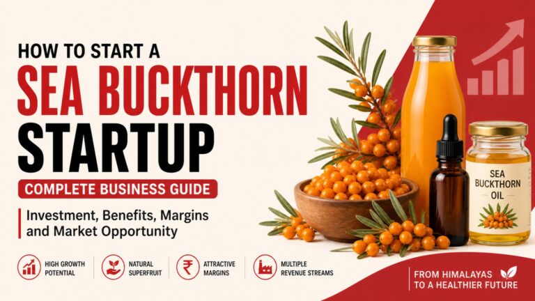 Sea Buckthorn Startup, Sea Buckthorn Business India, Himalayan Superfruit, Sea Buckthorn Benefits, Agri Startup India, Food Processing Business, Wellness Startup, Sea Buckthorn Juice, Sea Buckthorn Oil, Startup Guide India