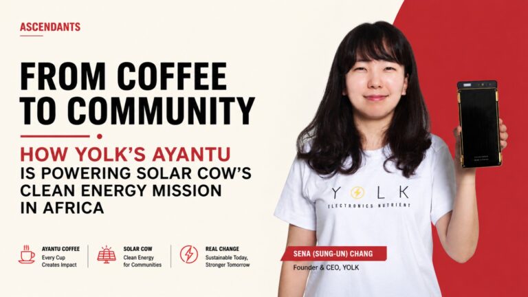 YOLK, Solar Cow, Ayantu, Ayantu coffee, Korean startup, social innovation, clean energy Africa, off-grid solar, Ethiopia coffee, African energy access, impact startup, sustainable business model, Korean social ventures, renewable energy startup, education and energy, specialty coffee business, Sena Chang, Solar Cow business model, sustainable impact, energy access initiative
