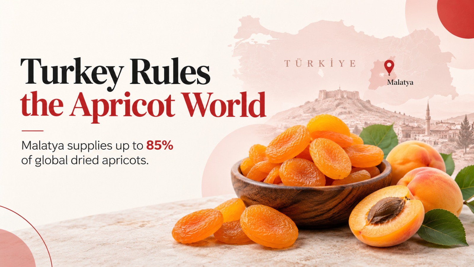 Turkey apricot production, Turkey apricot industry, Malatya apricots, dried apricots, Malatya Kayısısı, apricot exports, global apricot market, Turkish agriculture, apricot production